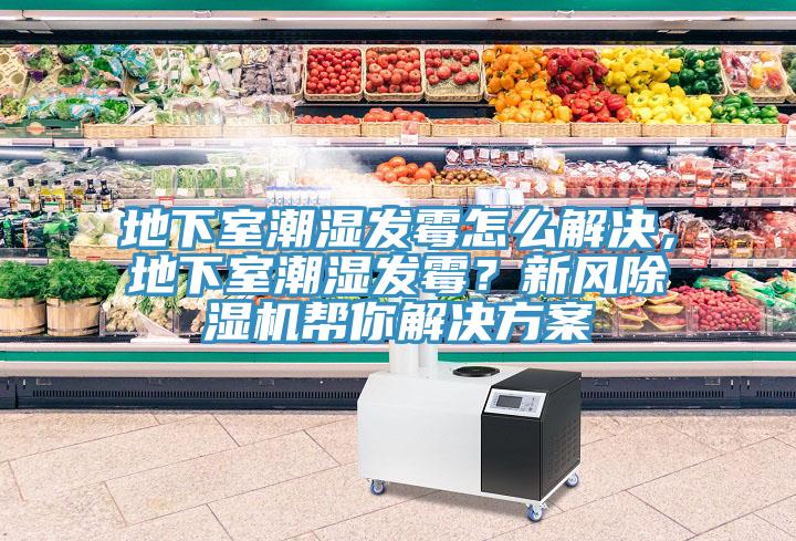 地下室潮濕發(fā)霉怎么解決，地下室潮濕發(fā)霉？新風除濕機幫你解決方案