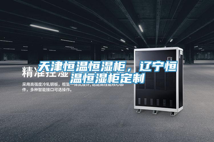 天津恒溫恒濕柜，遼寧恒溫恒濕柜定制