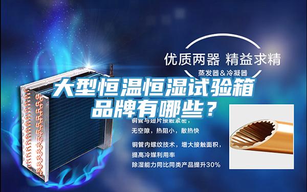大型恒溫恒濕試驗(yàn)箱品牌有哪些？