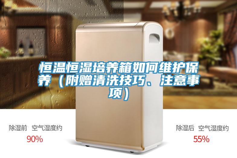 恒溫恒濕培養(yǎng)箱如何維護(hù)保養(yǎng)（附贈(zèng)清洗技巧、注意事項(xiàng)）
