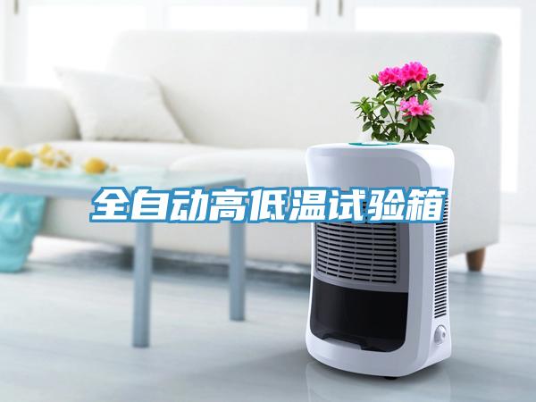 全自動高低溫試驗(yàn)箱