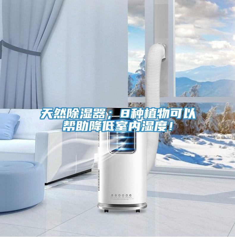 天然除濕器；8種植物可以幫助降低室內(nèi)濕度！