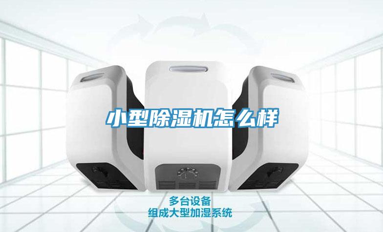 小型除濕機(jī)怎么樣