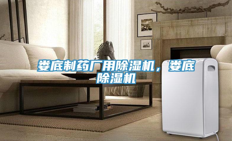 婁底制藥廠用除濕機(jī)，婁底除濕機(jī)