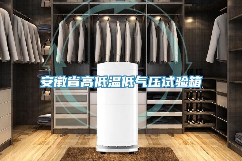 安徽省高低溫低氣壓試驗(yàn)箱