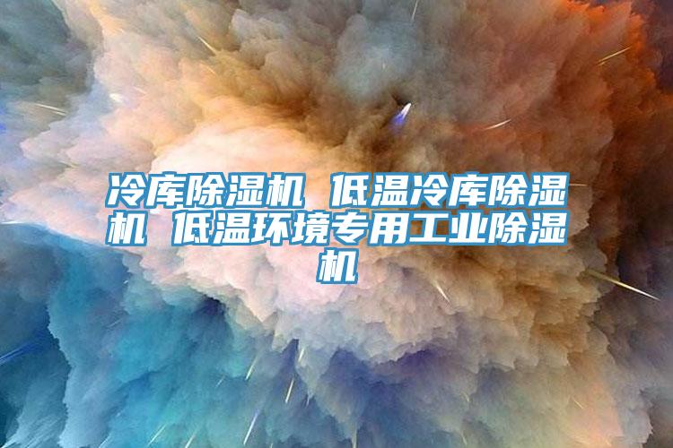 冷庫除濕機 低溫冷庫除濕機 低溫環(huán)境專用工業(yè)除濕機