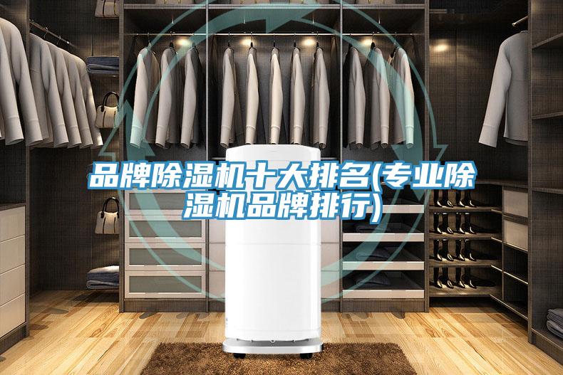 品牌除濕機(jī)十大排名(專業(yè)除濕機(jī)品牌排行)