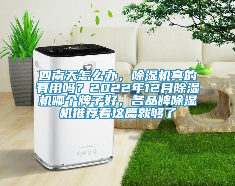 回南天怎么辦，除濕機(jī)真的有用嗎？2022年12月除濕機(jī)哪個(gè)牌子好，各品牌除濕機(jī)推薦看這篇就夠了