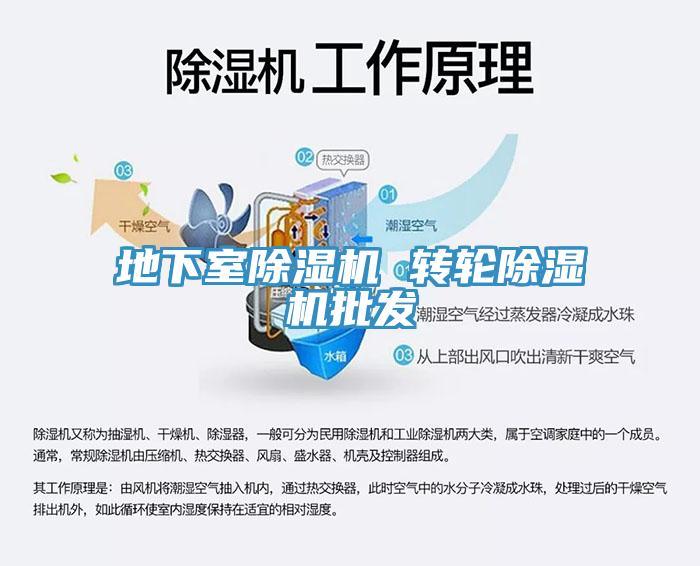 地下室除濕機(jī) 轉(zhuǎn)輪除濕機(jī)批發(fā)