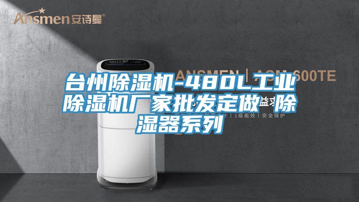 臺(tái)州除濕機(jī)-480L工業(yè)除濕機(jī)廠家批發(fā)定做 除濕器系列