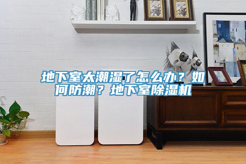 地下室太潮濕了怎么辦？如何防潮？地下室除濕機