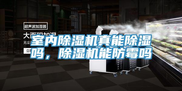 室內除濕機真能除濕嗎，除濕機能防霉嗎