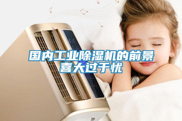 國(guó)內(nèi)工業(yè)除濕機(jī)的前景喜大過(guò)于憂