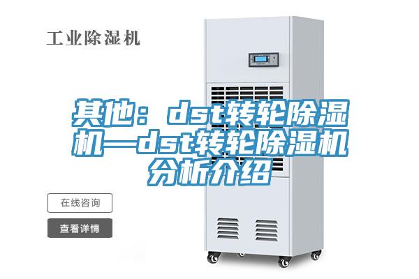 其他：dst轉(zhuǎn)輪除濕機(jī)—dst轉(zhuǎn)輪除濕機(jī)分析介紹