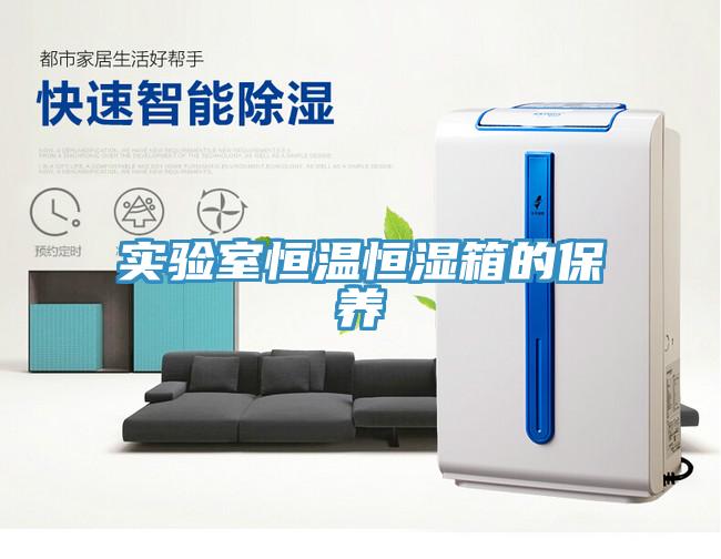 實驗室恒溫恒濕箱的保養(yǎng)