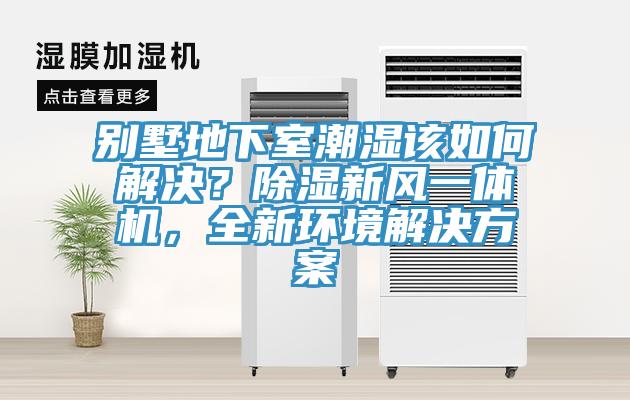 別墅地下室潮濕該如何解決？除濕新風(fēng)一體機(jī)，全新環(huán)境解決方案