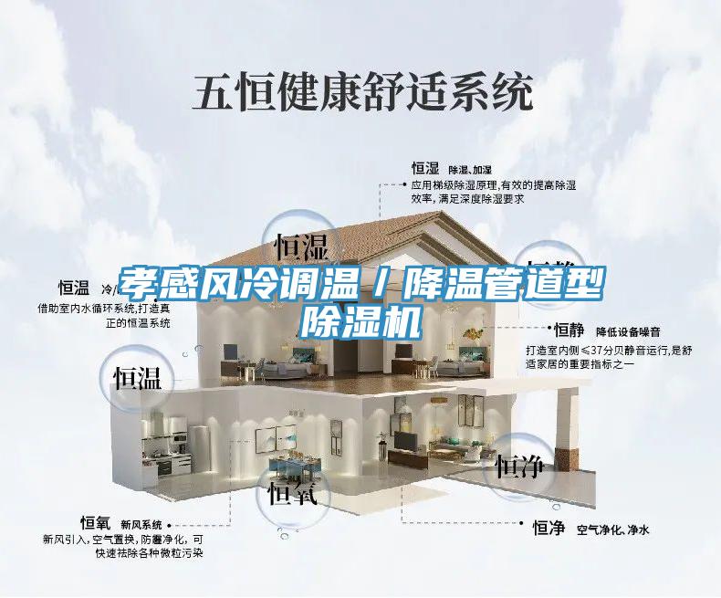 孝感風(fēng)冷調(diào)溫／降溫管道型除濕機(jī)