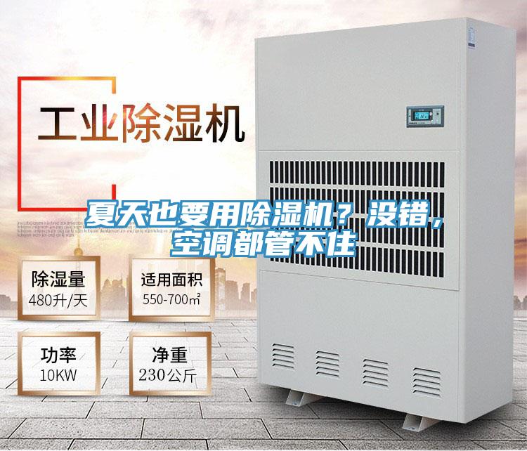 夏天也要用除濕機(jī)？沒錯(cuò)，空調(diào)都管不住
