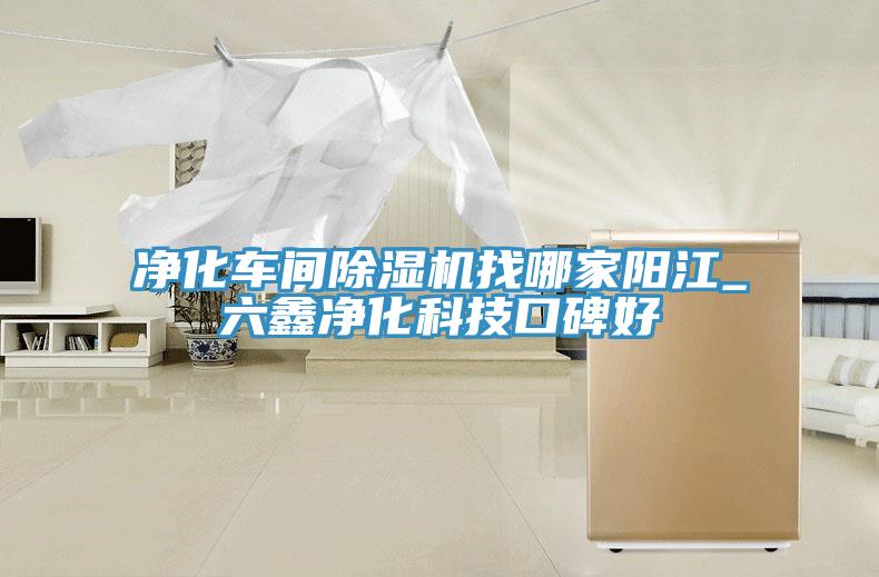 凈化車(chē)間除濕機(jī)找哪家陽(yáng)江_六鑫凈化科技口碑好