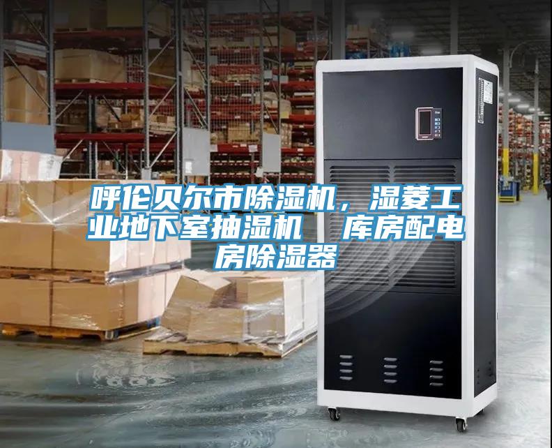 呼倫貝爾市除濕機(jī)，濕菱工業(yè)地下室抽濕機(jī)  庫(kù)房配電房除濕器
