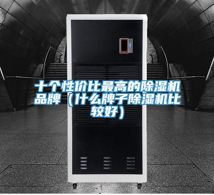 十個(gè)性價(jià)比最高的除濕機(jī)品牌（什么牌子除濕機(jī)比較好）