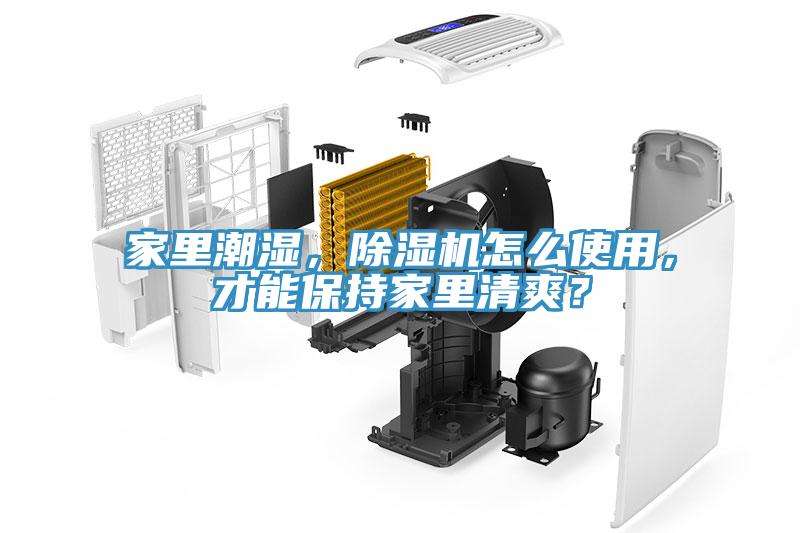 家里潮濕，除濕機怎么使用，才能保持家里清爽？