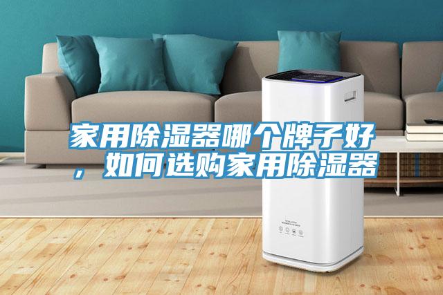 家用除濕器哪個(gè)牌子好，如何選購(gòu)家用除濕器