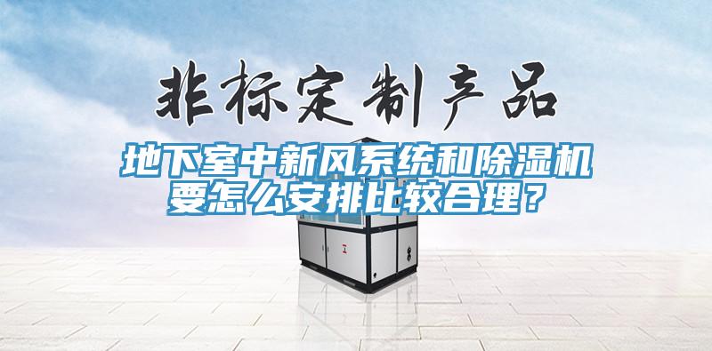 地下室中新風(fēng)系統(tǒng)和除濕機(jī)要怎么安排比較合理？