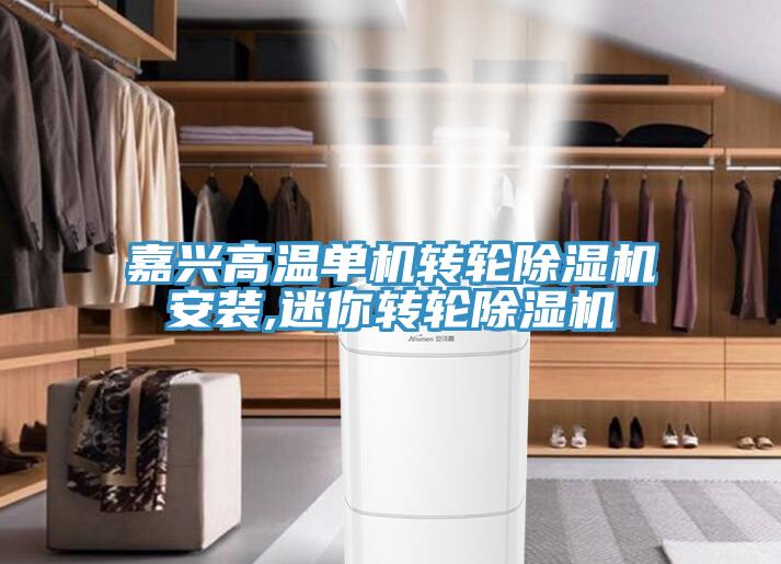 嘉興高溫單機轉(zhuǎn)輪除濕機安裝,迷你轉(zhuǎn)輪除濕機