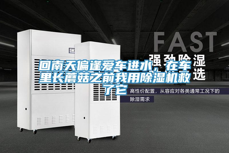 回南天偏逢愛車進水，在車里長蘑菇之前我用除濕機救了它