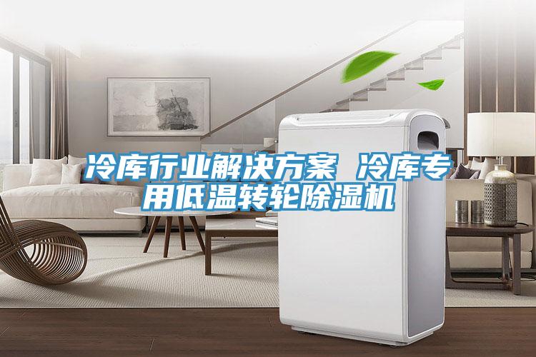冷庫行業(yè)解決方案 冷庫專用低溫轉輪除濕機