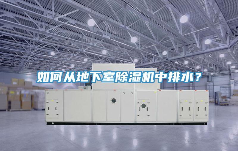 如何從地下室除濕機(jī)中排水？