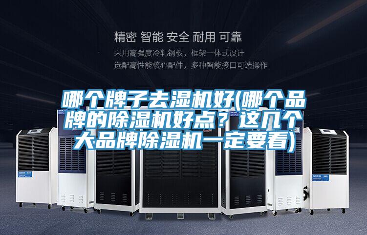 哪個(gè)牌子去濕機(jī)好(哪個(gè)品牌的除濕機(jī)好點(diǎn)？這幾個(gè)大品牌除濕機(jī)一定要看)