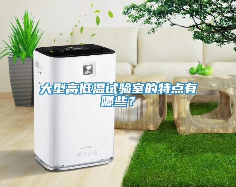 大型高低溫試驗室的特點有哪些？
