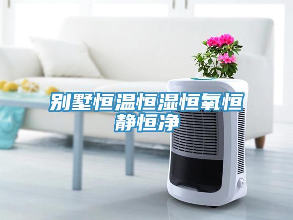 別墅恒溫恒濕恒氧恒靜恒凈