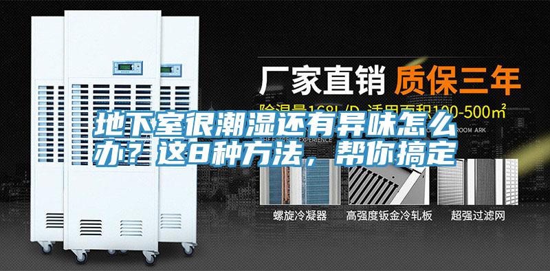 地下室很潮濕還有異味怎么辦？這8種方法，幫你搞定