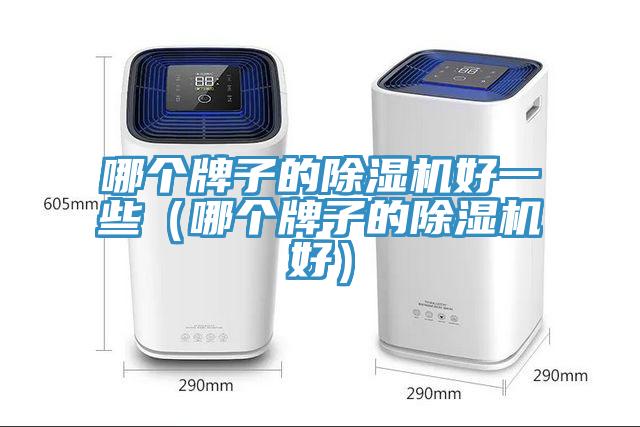 哪個(gè)牌子的除濕機(jī)好一些（哪個(gè)牌子的除濕機(jī)好）