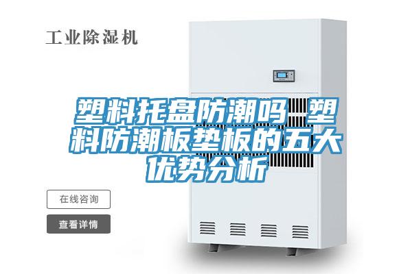 塑料托盤(pán)防潮嗎 塑料防潮板墊板的五大優(yōu)勢(shì)分析