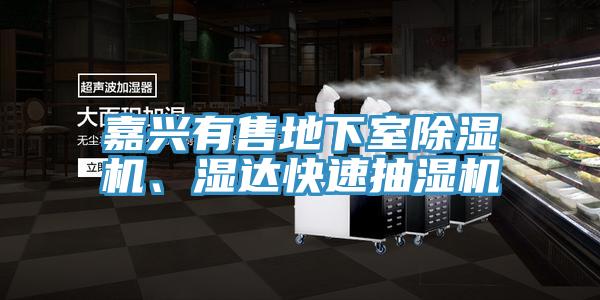 嘉興有售地下室除濕機(jī)、濕達(dá)快速抽濕機(jī)