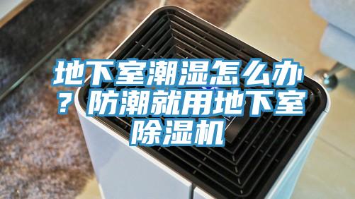 地下室潮濕怎么辦？防潮就用地下室除濕機(jī)