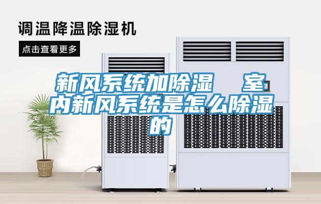 新風(fēng)系統(tǒng)加除濕  室內(nèi)新風(fēng)系統(tǒng)是怎么除濕的
