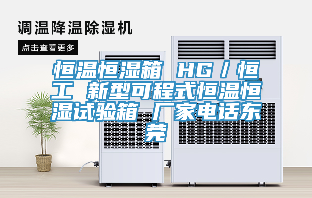 恒溫恒濕箱 HG／恒工 新型可程式恒溫恒濕試驗(yàn)箱 廠(chǎng)家電話(huà)東莞