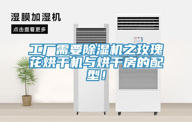 工廠需要除濕機之玫瑰花烘干機與烘干房的配型！