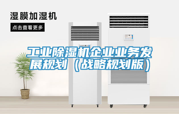 工業(yè)除濕機企業(yè)業(yè)務發(fā)展規(guī)劃（戰(zhàn)略規(guī)劃版）