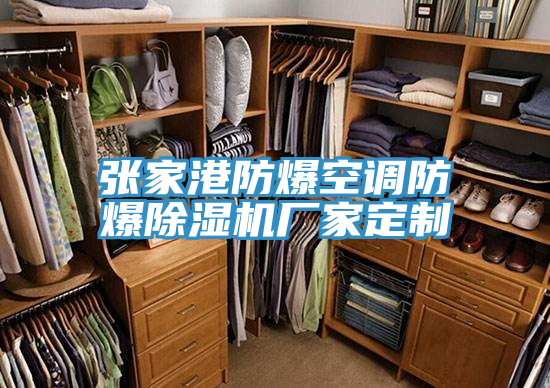 張家港防爆空調(diào)防爆除濕機廠家定制