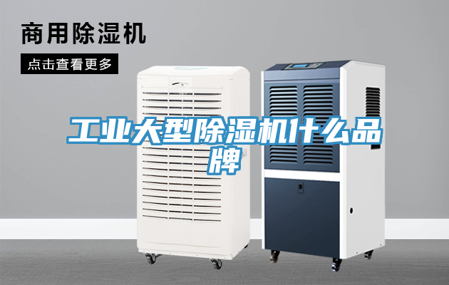 工業(yè)大型除濕機(jī)什么品牌