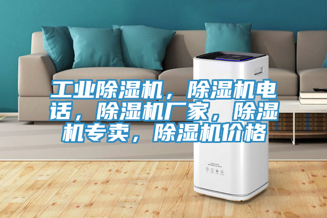 工業(yè)除濕機(jī)，除濕機(jī)電話，除濕機(jī)廠家，除濕機(jī)專賣，除濕機(jī)價(jià)格