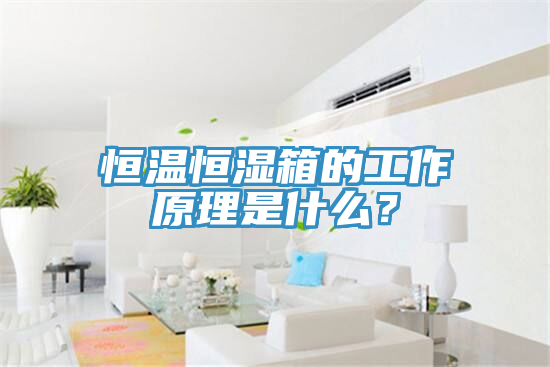 恒溫恒濕箱的工作原理是什么？