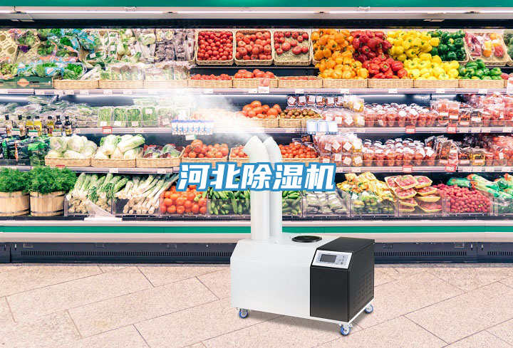 河北除濕機(jī)