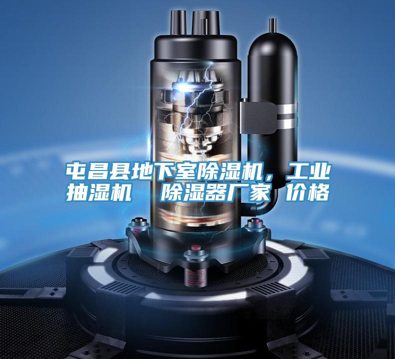 屯昌縣地下室除濕機(jī)，工業(yè)抽濕機(jī)  除濕器廠家 價格